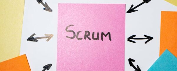 Scrum Product Owner